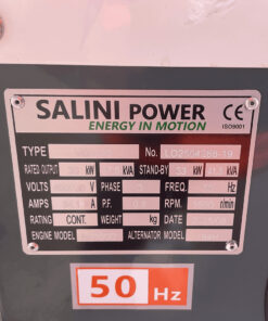 Generador Salini VGR30 41,3 KVA - Imagen 2