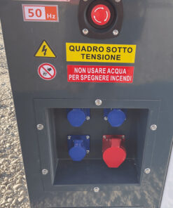 Generador Salini VGR30 41,3 KVA - Imagen 3